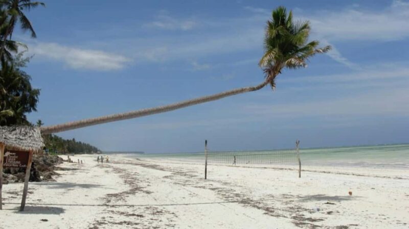 Prison Island, Jozani Forest, The Rock & Paje Beach Tour - Practical Tips