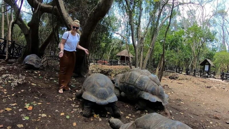 Prison island, Stone town, Spice farm and Jozani Forest tour - Key Points