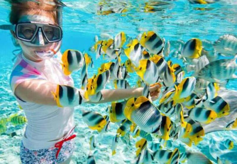 Prison Island Tour  History, Nature & Giant Tortoises! - Who Should Consider This Tour?
