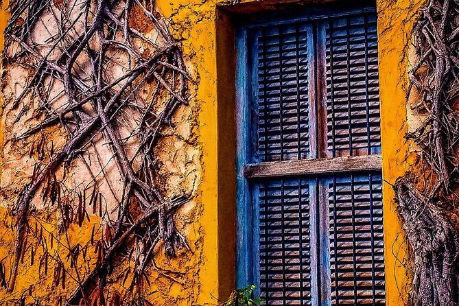 Prison Island Tour, Stone Town, Secret Garden, Spice Tour, Emerson Restaurant - Key Points