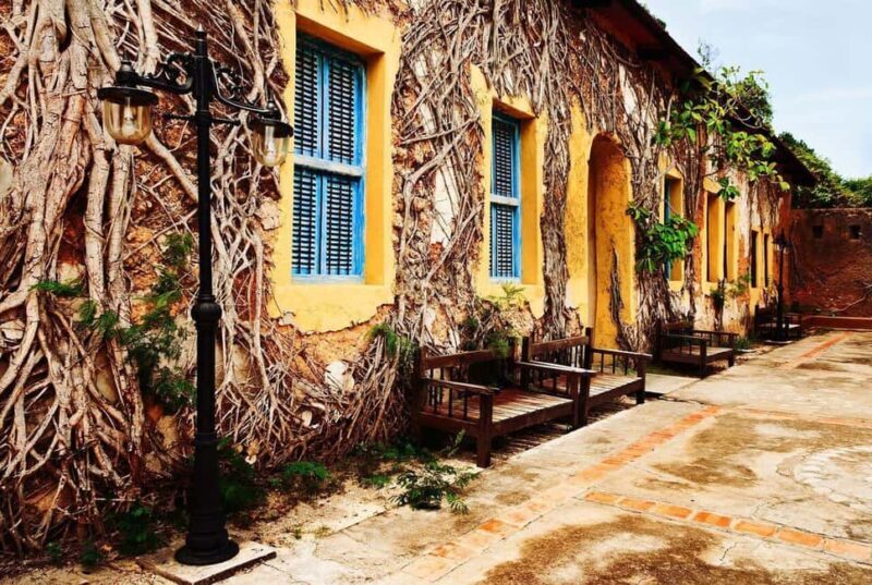 Prison island,Nakupenda SandBank,Stone town and Spice farm - Key Points