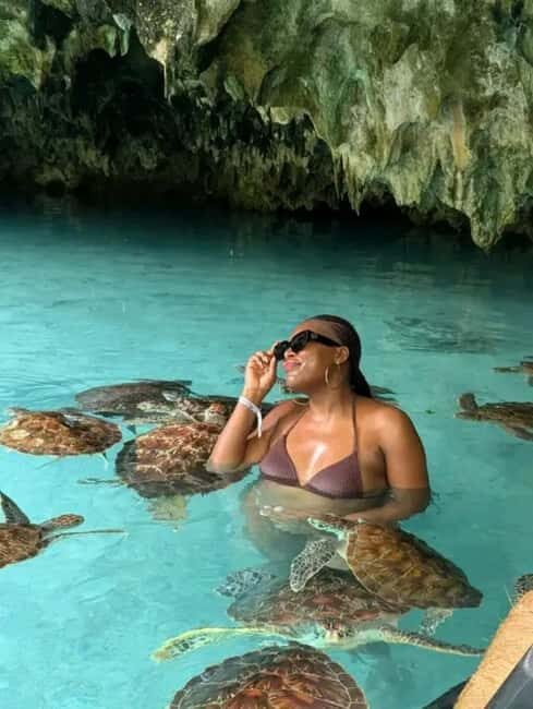 Prison island,Spicefarm,Jozani Forest & Seaturtles Sanctuary - Exploring Zanzibar’s Natural and Cultural Treasures