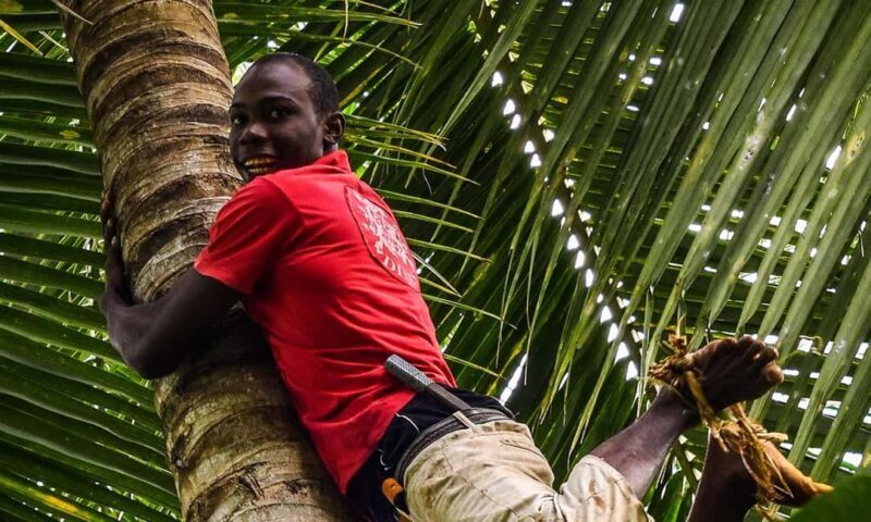 Prison Island,Stone town,Spicefarm and Sea turtles Sanctuary - Key Points