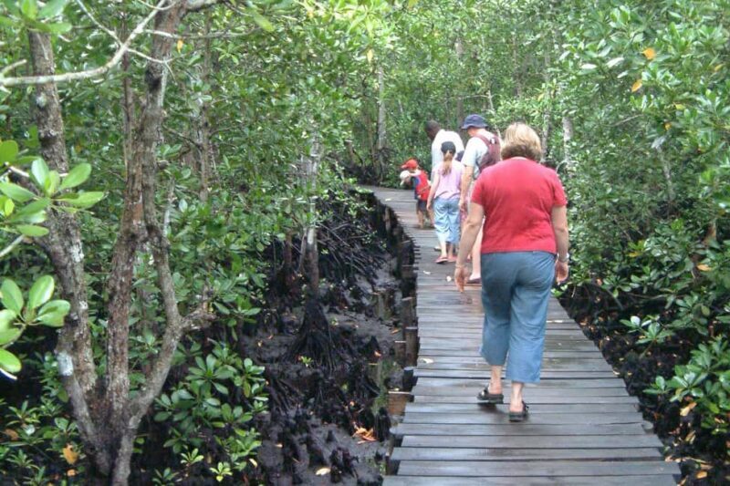 Prison island,StoneTown,Jozani Forest &Seaturtles Sanctuary - FAQs