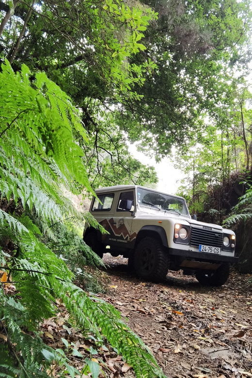 priv-west-4x4-tourseixal-beachporto-moniz-natural-pools