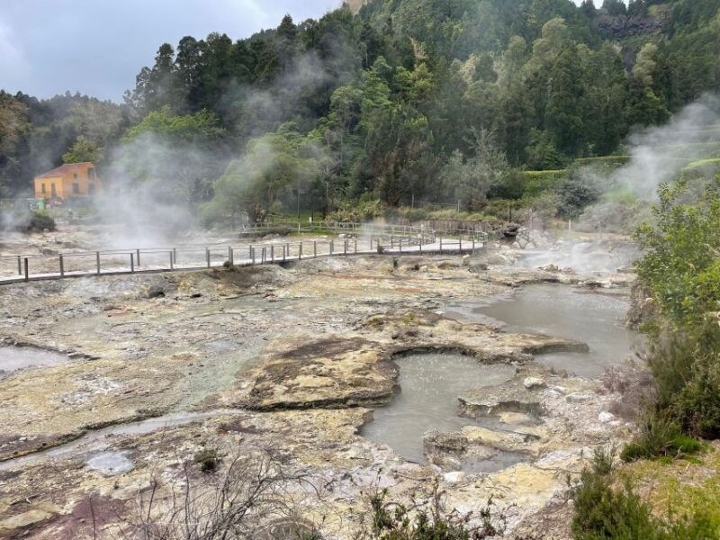 privat-van-tour-furnas-valley-gorreana-tea-islands-gems