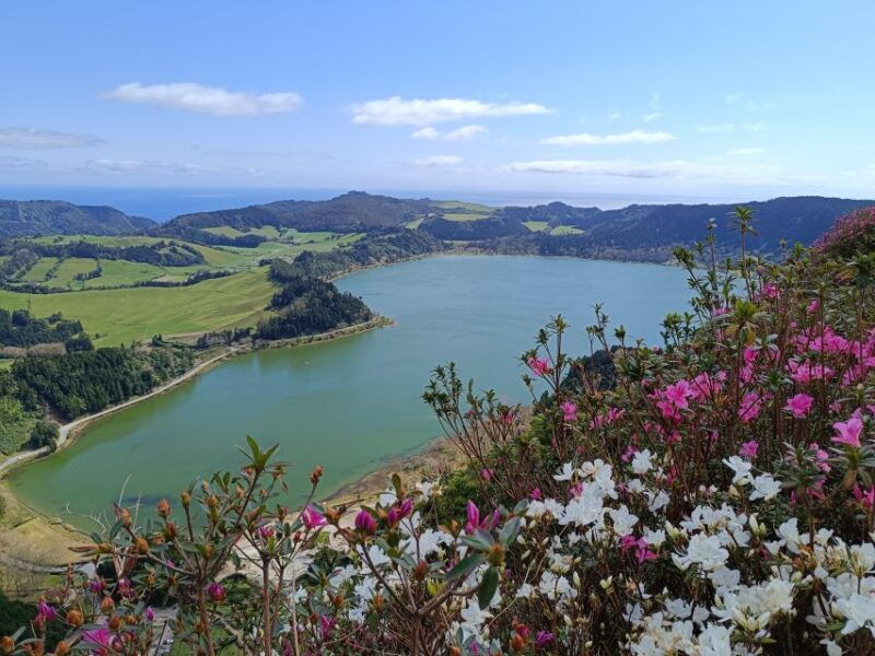 privat-van-tour-furnas-valley-gorreana-tea-islands-gems