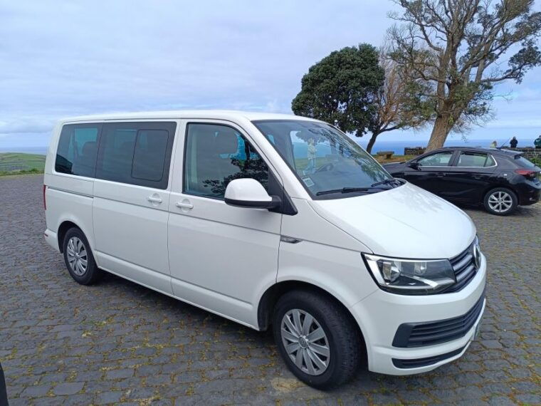 privat-van-tour-furnas-valley-gorreana-tea-islands-gems