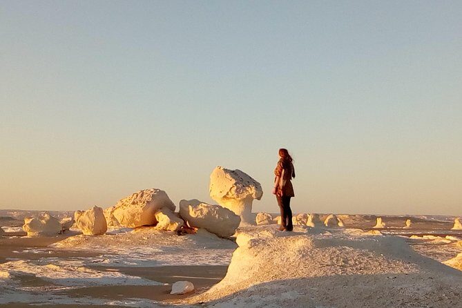 Privat White desert and Bahariya oasis 2 days with camping - Authenticity and Unique Experiences