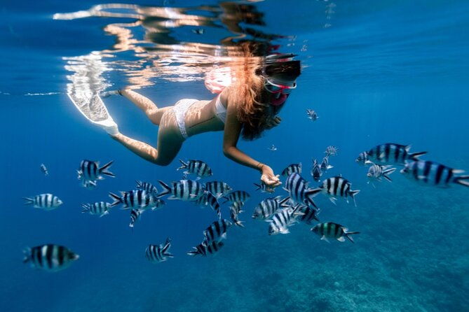 private-1-2-day-morning-charter-snorkel-or-cruise-on-shady-grady