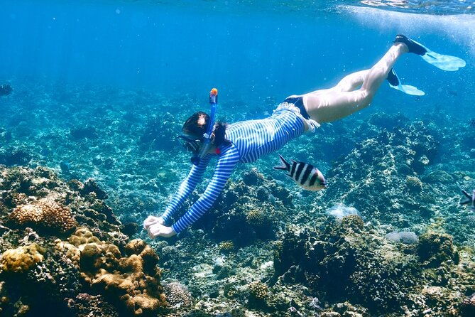 private-1-2-day-morning-charter-snorkel-or-cruise-on-shady-grady