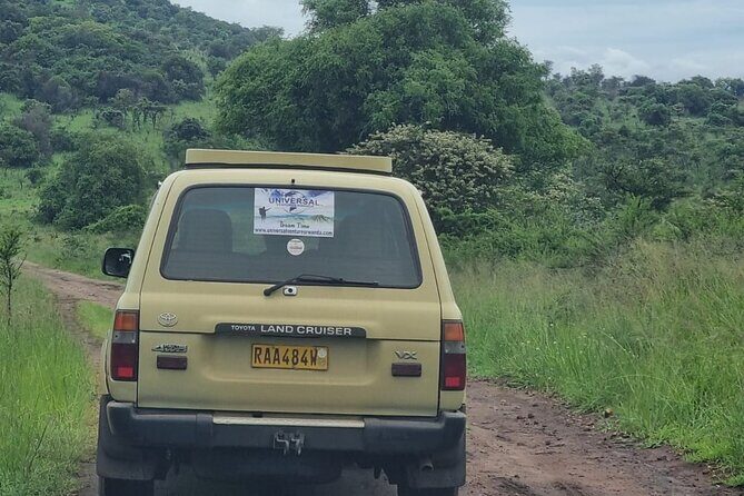 Private 1 Day Akagera Big Five Safari with pick up and lunch. - Pricing and Value