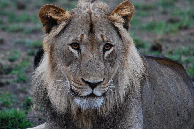 Private 1 Day Akagera Big Five Safari with pick up and lunch. - Who Should Book This Tour?