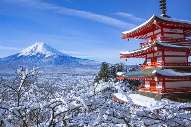 Private 1 Day Round Trip Tour from Tokyo to Mount Fuji - A Deep Dive into the Itinerary