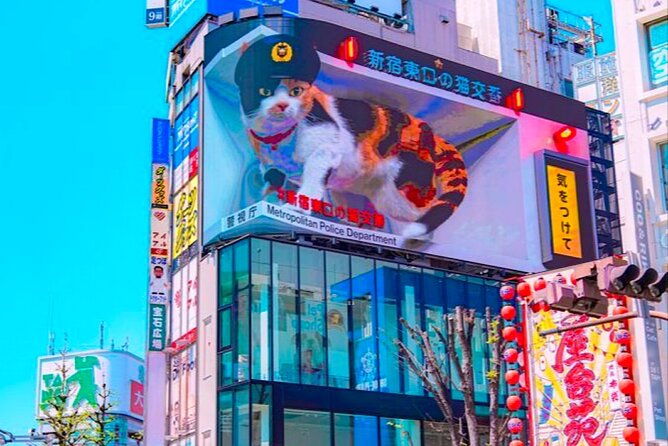 private-1-day-tokyo-city-tour-with-english-speaking-driver