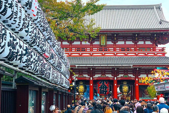 private-1-day-tokyo-city-tour-with-english-speaking-driver