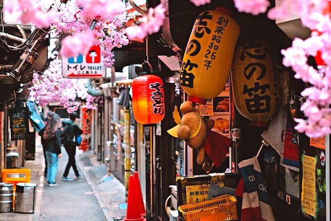 private-1-day-tokyo-city-tour-with-english-speaking-driver