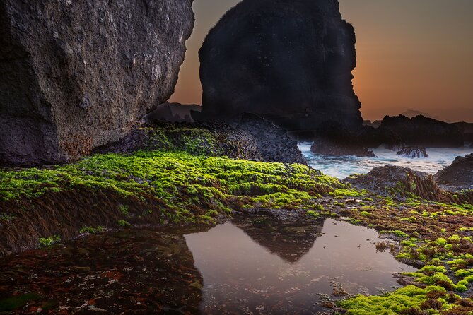 private-1-day-tour-to-kamakura-sea-temples-and-coastal-scenery