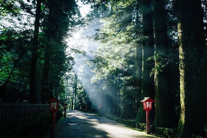 private-1-day-tour-to-mt-fuji-and-hakone-onsen-arts-and-nature