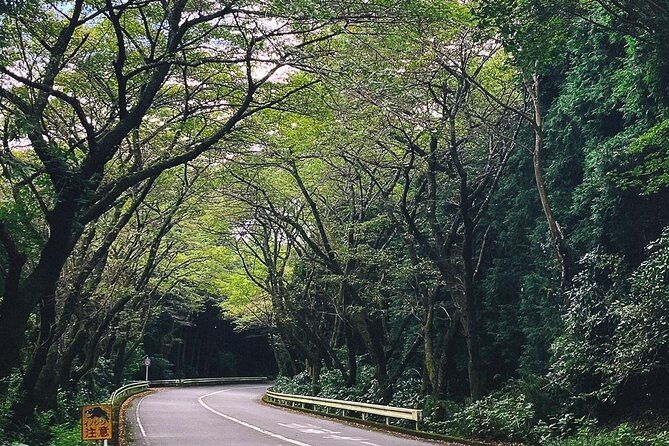 private-1-day-tour-to-mt-fuji-and-hakone-onsen-arts-and-nature