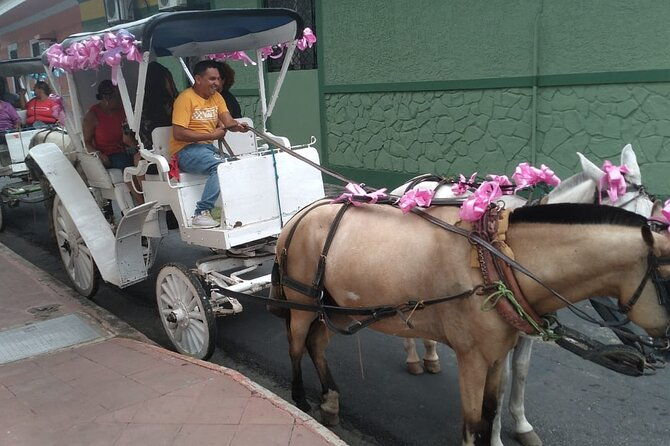 private-1-day-tour-to-nicaragua-from-playas-del-coco