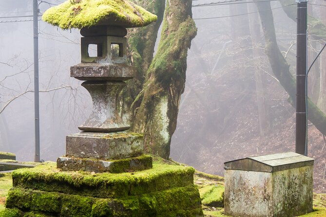 private-1-day-tour-to-nikko-onsen-unesco-shrines-and-nature