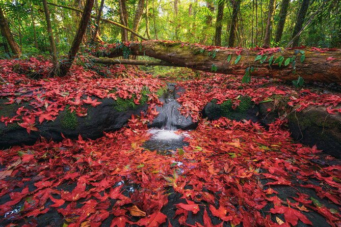 private-1-day-tour-to-nikko-onsen-unesco-shrines-and-nature