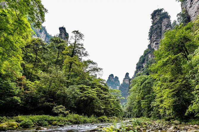 Private 1 Day Tour Zhangjiajie National Forest Park - Practical Details: What to Expect