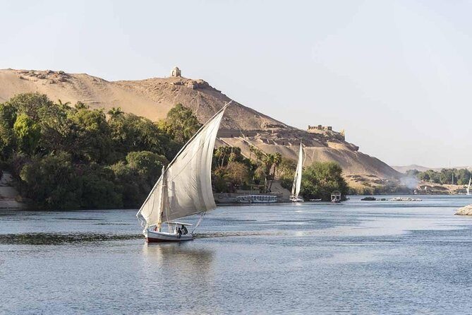 Private 1-Hour Felucca Sailing and Botanical Garden In Aswan - Who Should Consider This Tour?