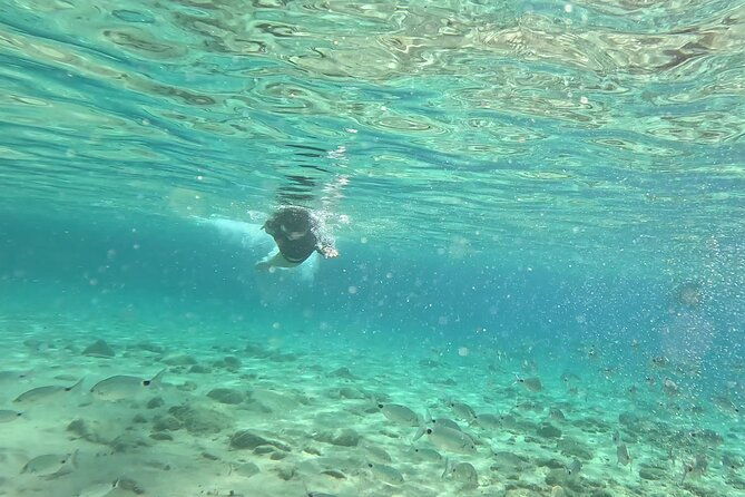 private-1-hour-guided-snorkeling-adventure-with-go-pro-pictures