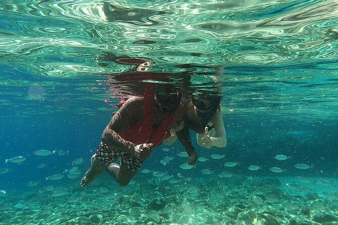 private-1-hour-guided-snorkeling-adventure-with-go-pro-pictures
