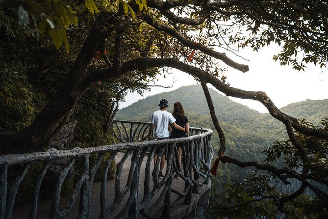 Private 1 Tour Zhangjiajie National Forest Park Avatar Mountain - Itinerary Deep Dive: What to Expect