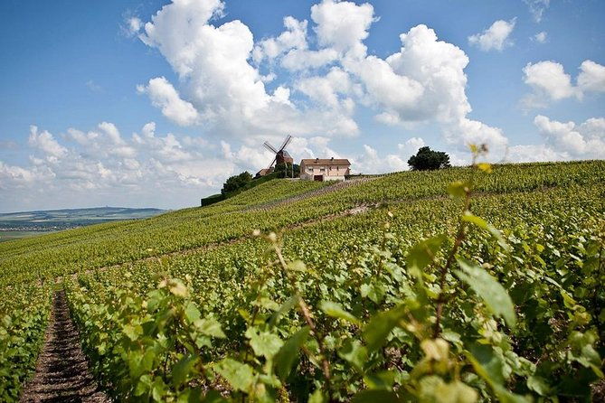 private-10-hour-round-transfer-to-champagne-epernay-from-paris-best-offer