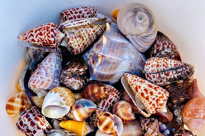 private-10000-islands-eco-tour