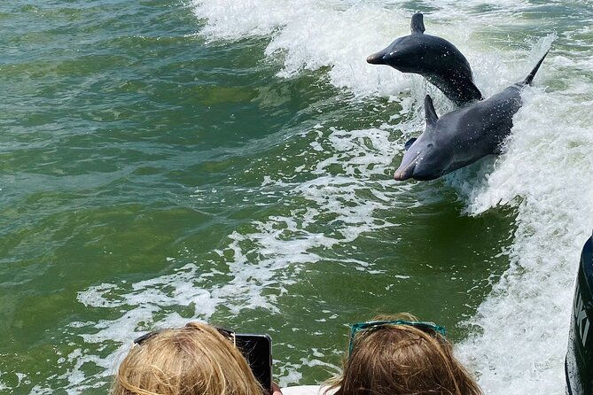 private-10000-islands-eco-tour