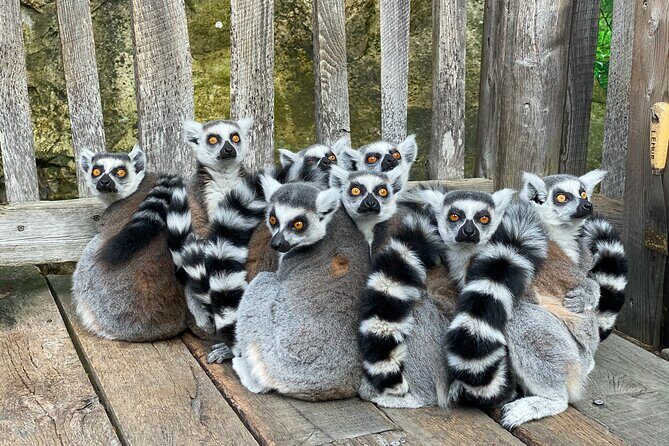 Private 14-Day Classic Route Tour in Madagascar - A Practical Breakdown of the Madagascar 14-Day Tour