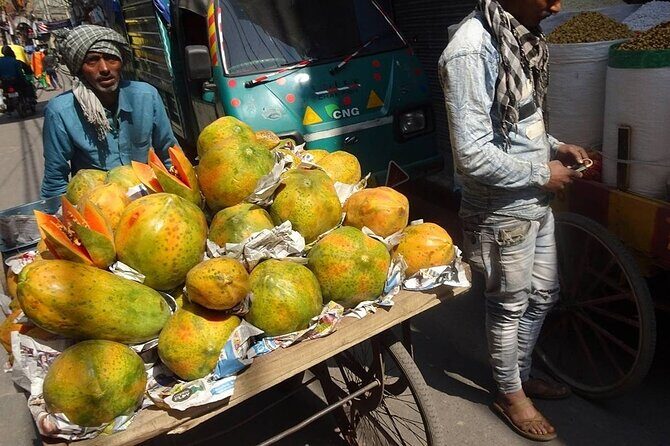 Private 14 Days In-depth India Tour, Daily Start & Exclusive Car - An In-Depth Look at the Itinerary