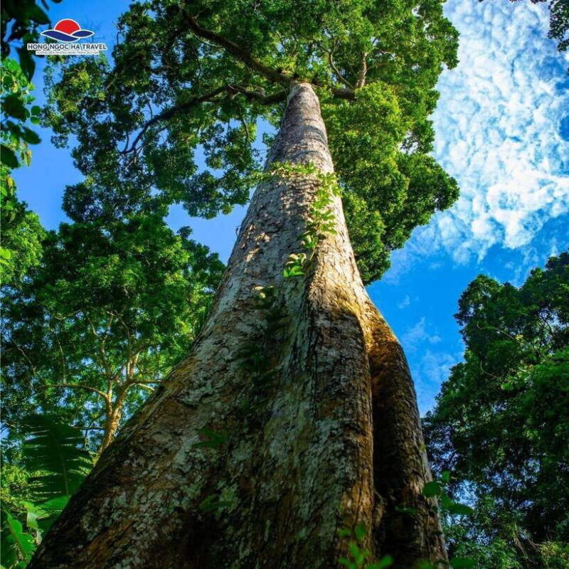 private-2-day-cuc-phuong-national-park-and-van-long-tour