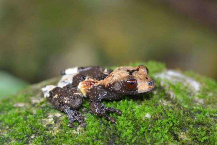 private-2-day-cuc-phuong-national-park-and-van-long-tour