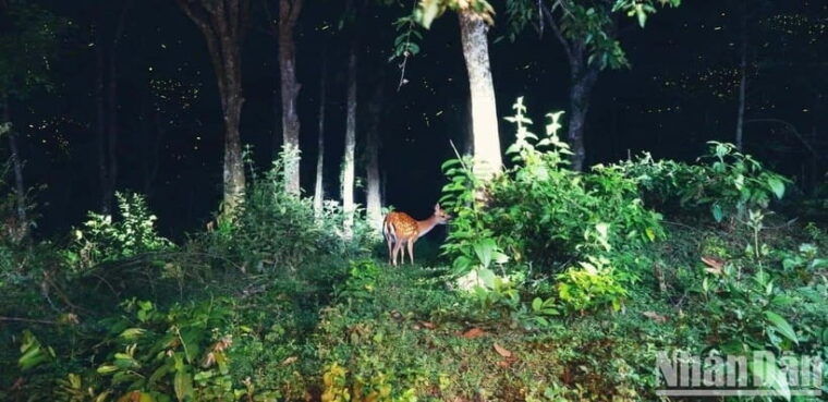 private-2-day-cuc-phuong-national-park-and-van-long-tour