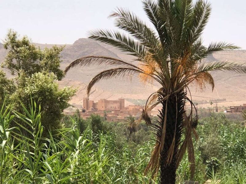 Private 2-Day Desert Trip with Camping & Camel Trekking - Practical Tips for Your Trip  