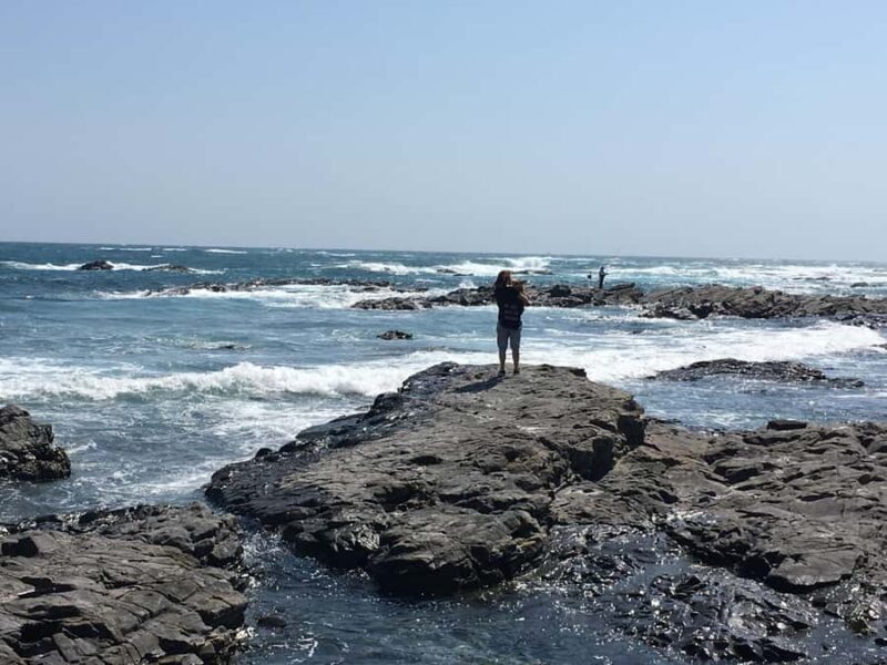 Private 2-Day Tour (16): Wakayama Coast & Kumano Kodo - Key Points