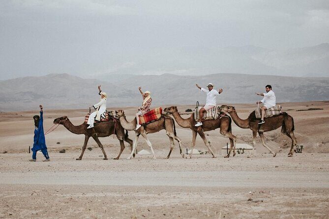 Private 2 Day Tour Casablanca to Marrakech with night in Desert - The Value and Cost Breakdown