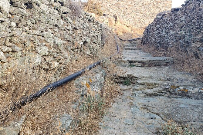 private-2-day-tour-in-kea-island-and-meet-the-lion