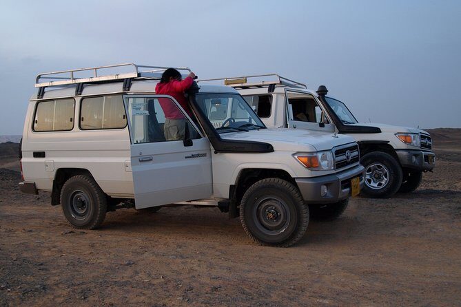 Private 2-Day White Desert and Bahariya Oasis Trip from Cairo - The Sum Up