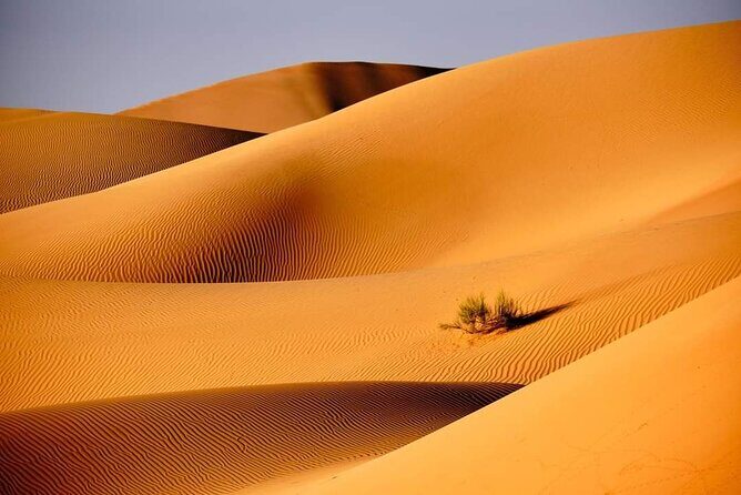 Private 2 Days 1 Night Wahiba Sands Desert and Wadi Bani Khalid Tour - The Sum Up