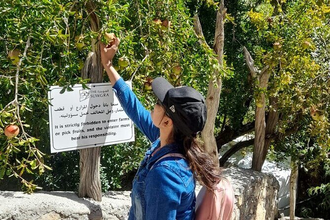 Private 2 - Days Jebel Akhdar Overnight Camping Tours - What You Can Expect from the 2-Day Jebel Akhdar Camping Tour