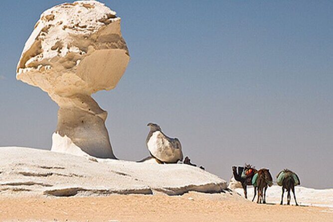 Private 2 Days Jeep Safari to White Desert and Bahariya Oasis - Key Points