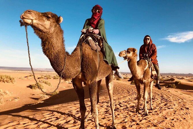 Private 2 Days Luxury Desert Tour from Fez to Fez (Fes to Fes) - An Introduction to the Moroccan Desert in Just 2 Days