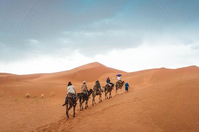 Private 2 Days Luxury Desert Tour from Fez to Fez (Fes to Fes) - Who Is This Tour Best For?